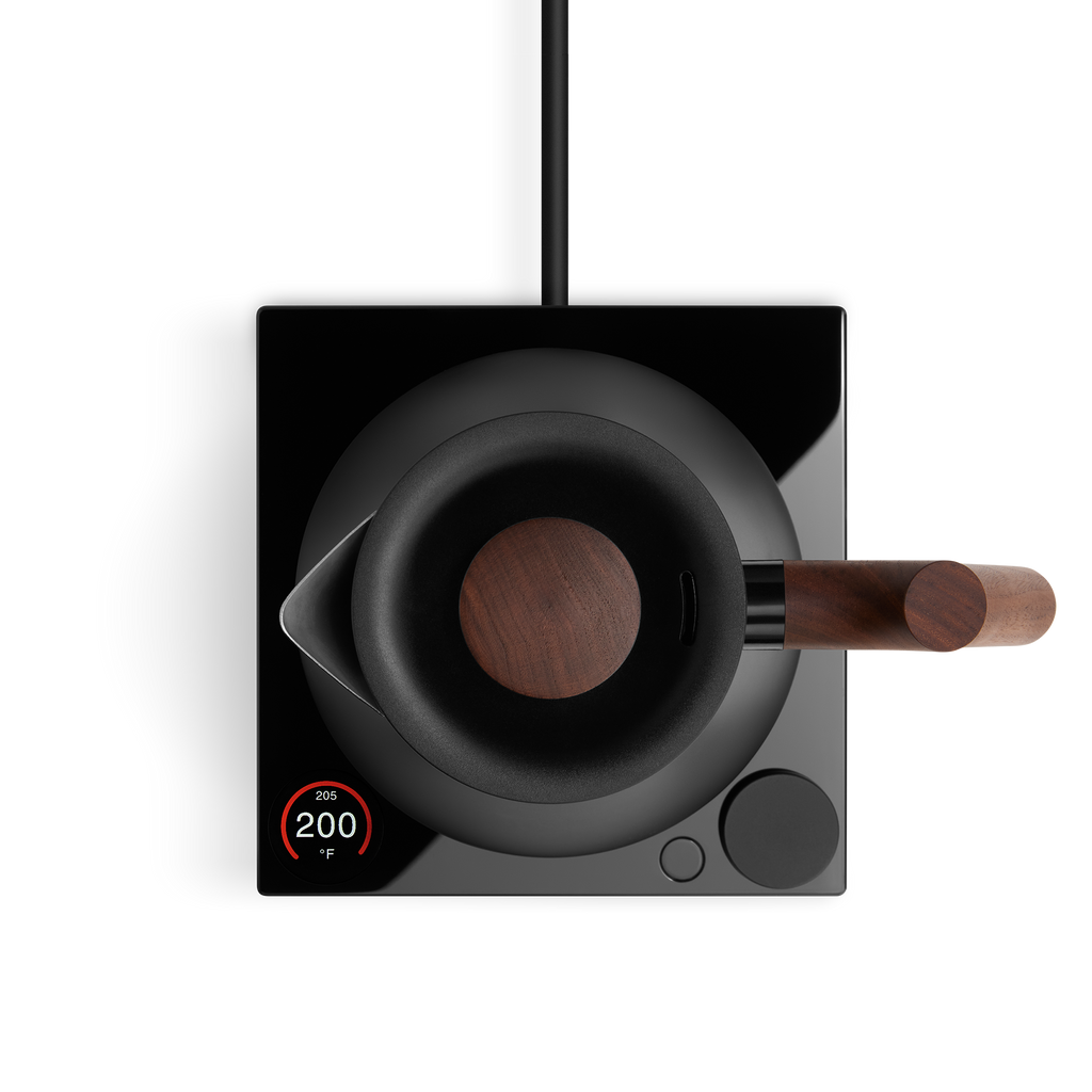 Corvo EKG Pro Electric Kettle | Studio Edition Home Brew Accessory