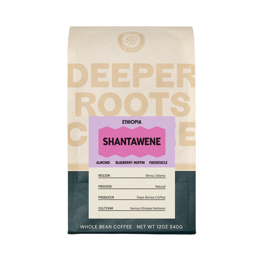 Ethiopia Shantawene 12 oz Fresh Roasted Origin Coffee